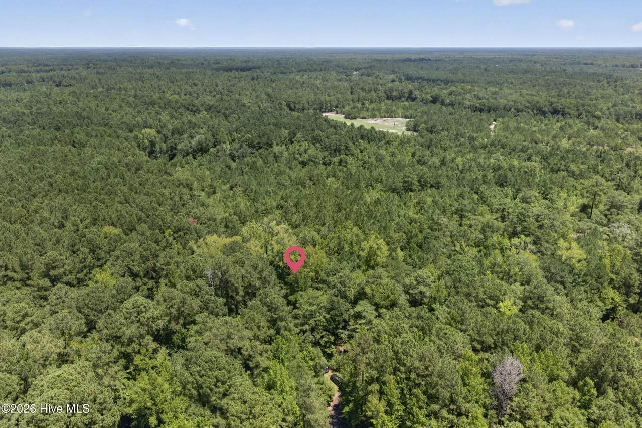 540 Copperhead Lane - Photo 1