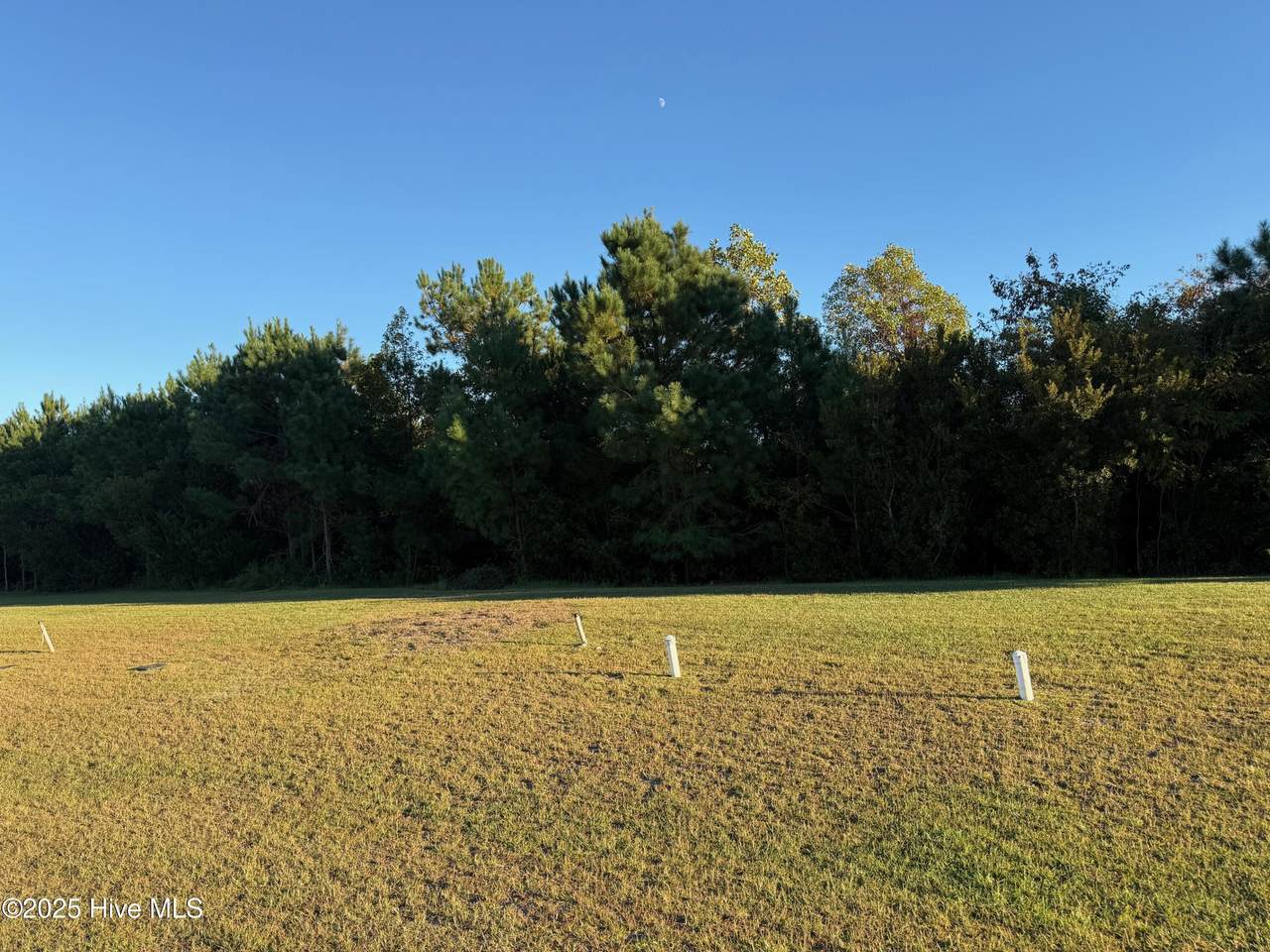 157 Whispering Pine Lane - Photo 1