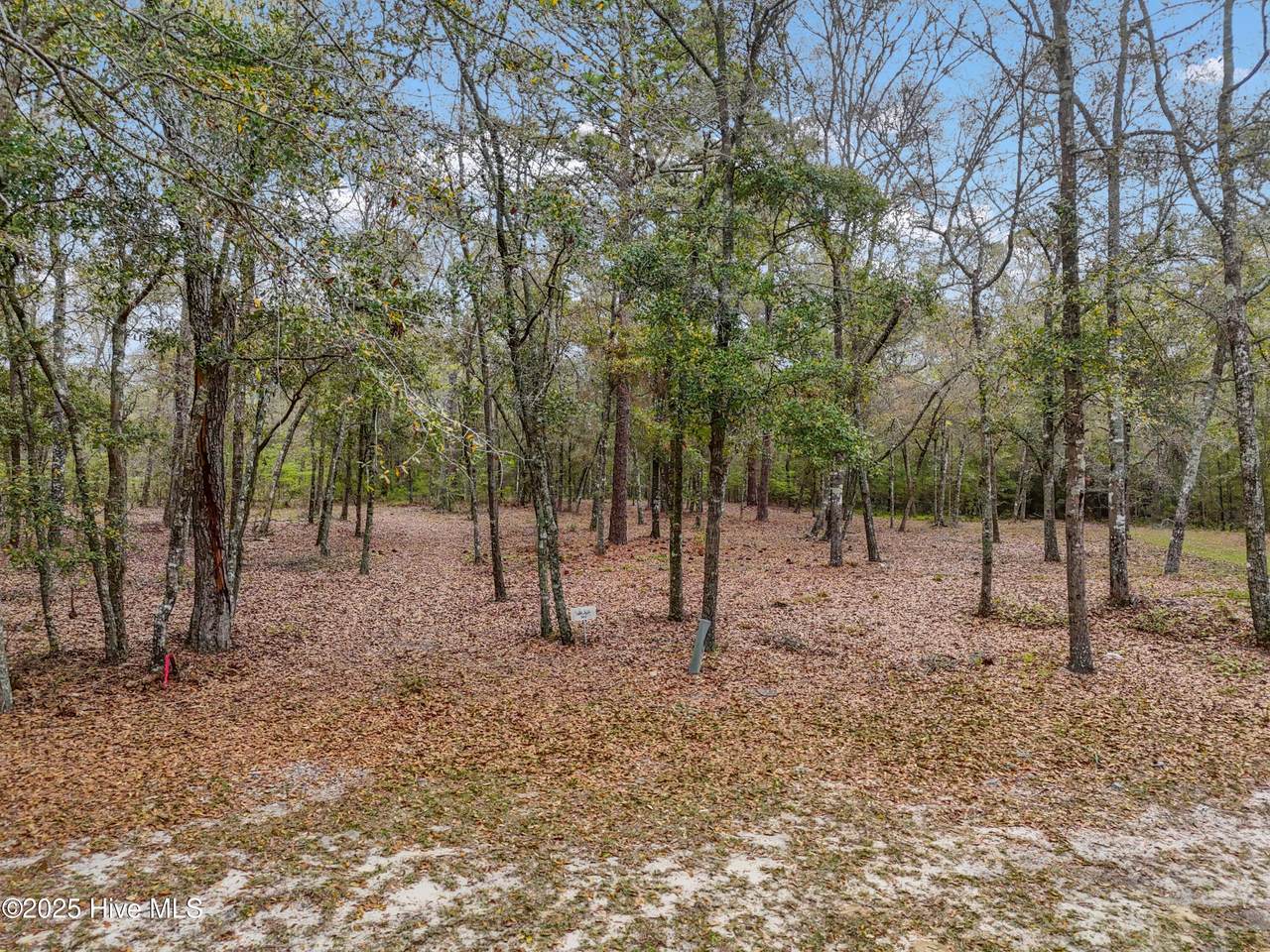 584 Asphodel Drive - Photo 1