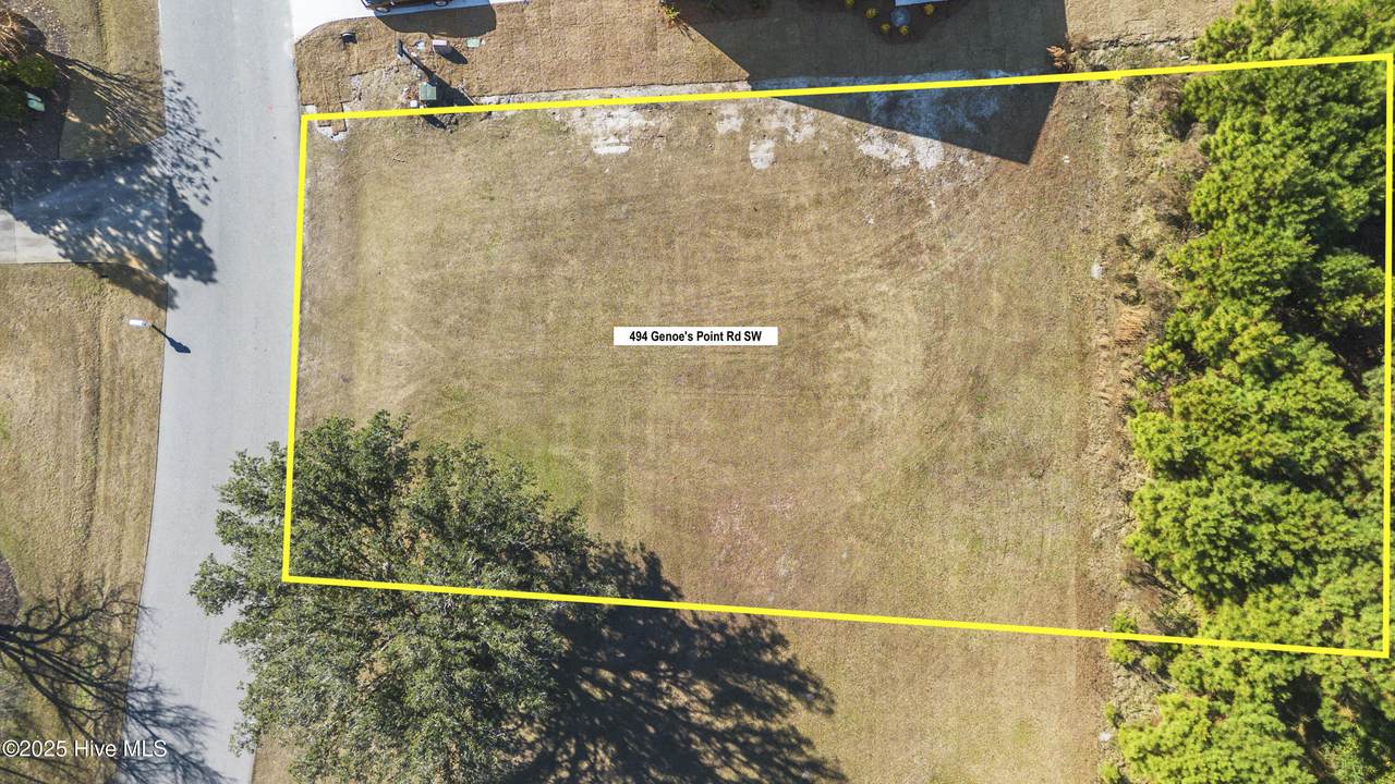 494 Genoes Point Road - Photo 1