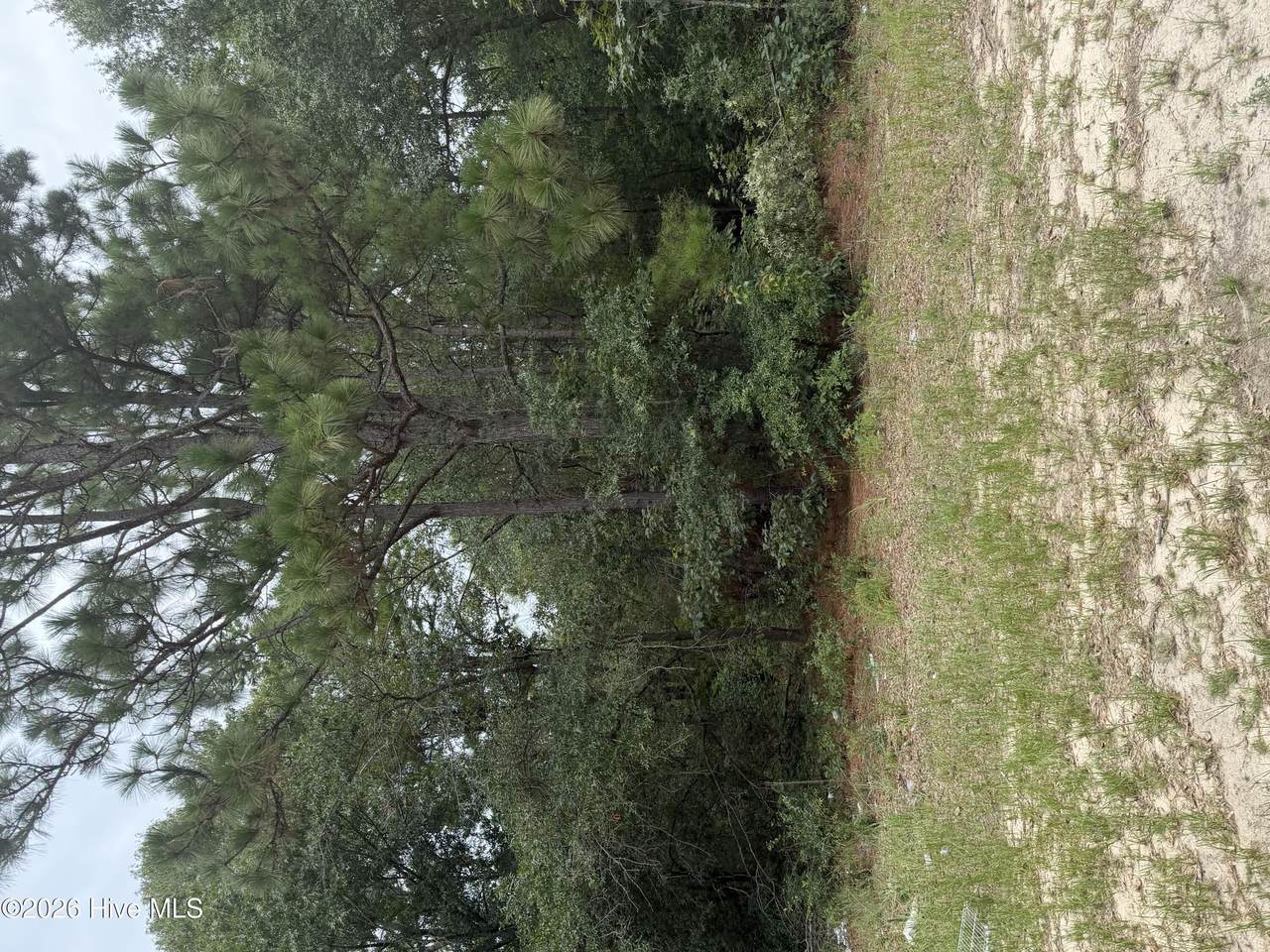 406 Douglas Drive - Photo 1