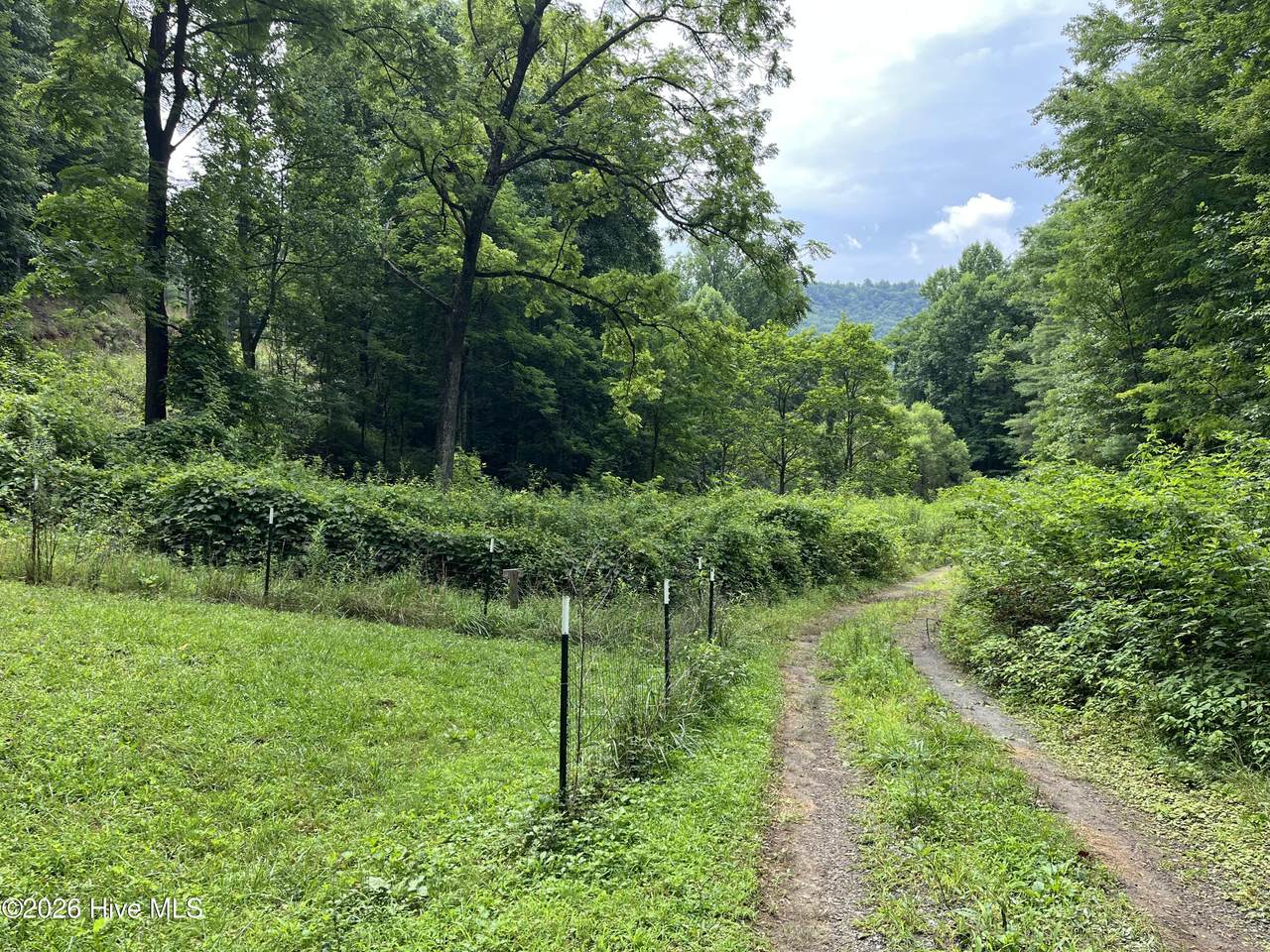 Lots 28/29 Bates Creek Road - Photo 1