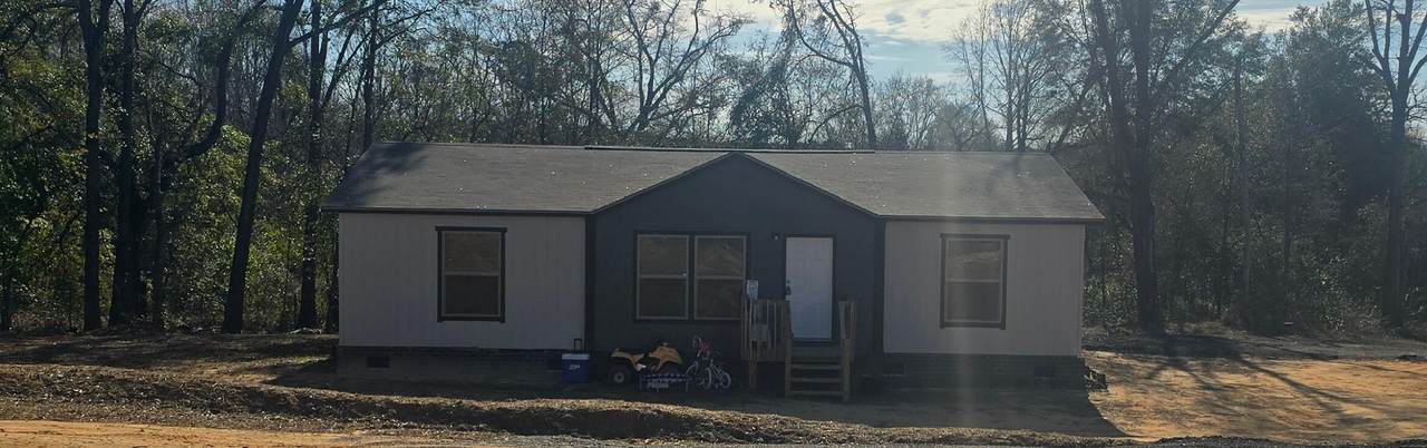 5228 Old Mike Padgett Highway - Photo 1