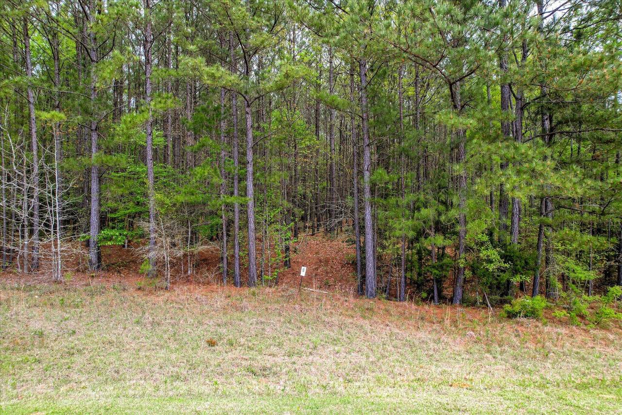1066 Clinton-Williams Road - Photo 1