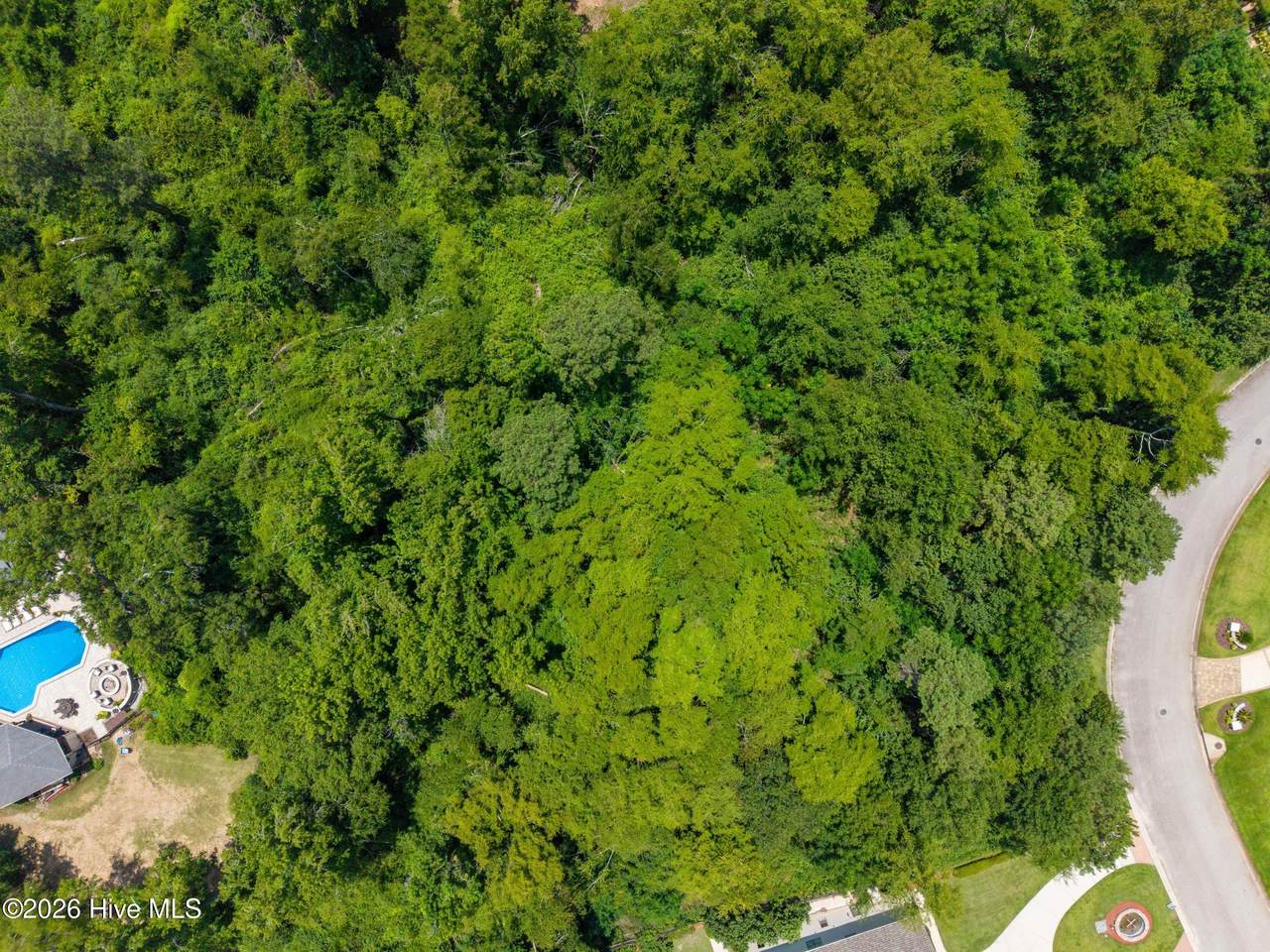 4016 Firethorn Court - Photo 1