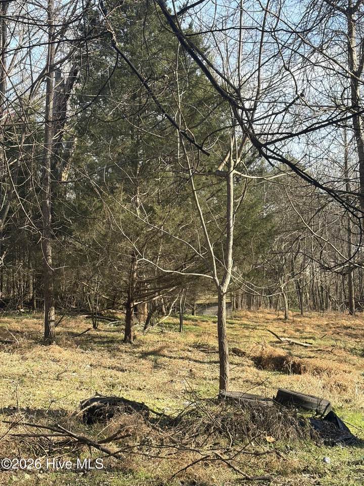 125 Masonic Street - Photo 1