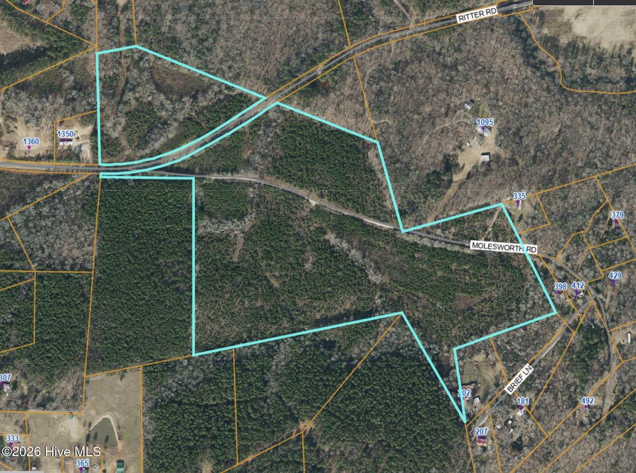 0 Ritter Road - Photo 1