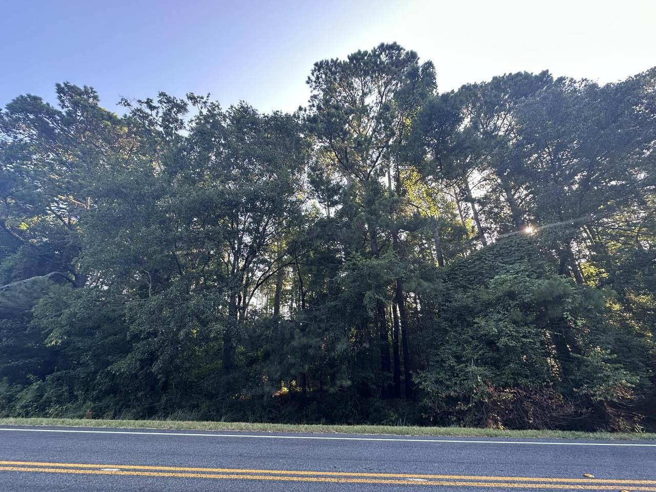 Lot 3a Elberton Highway - Photo 1
