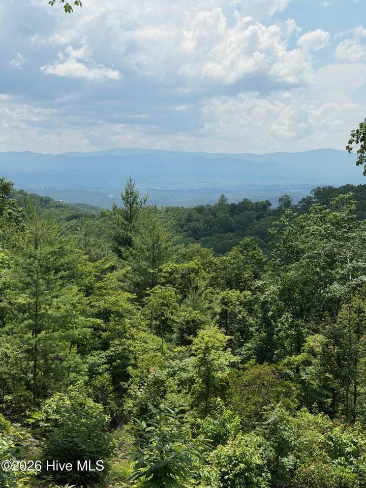 340 Lazy Country Cove Road - Photo 1