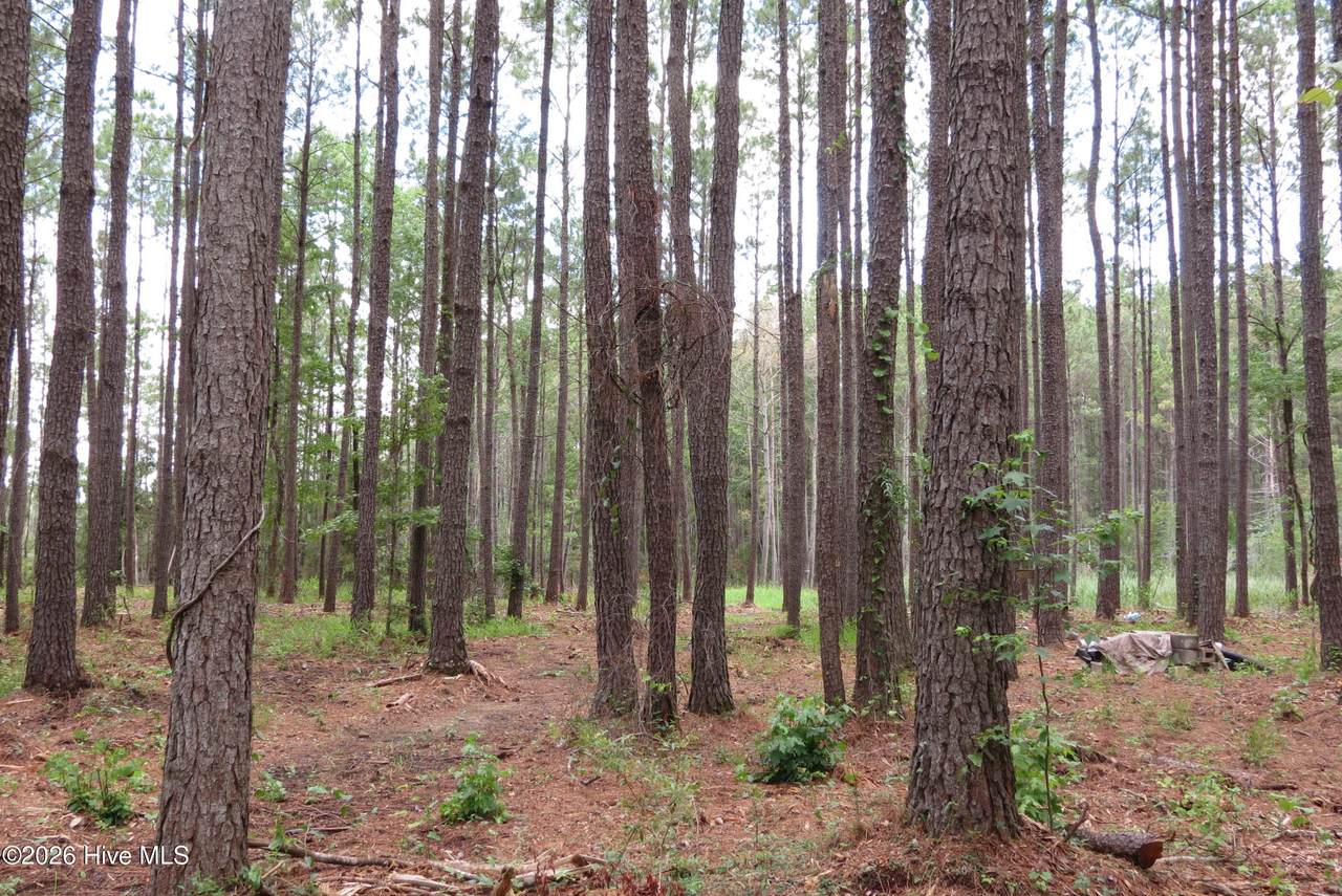 3231 Orchard Creek Road - Photo 1