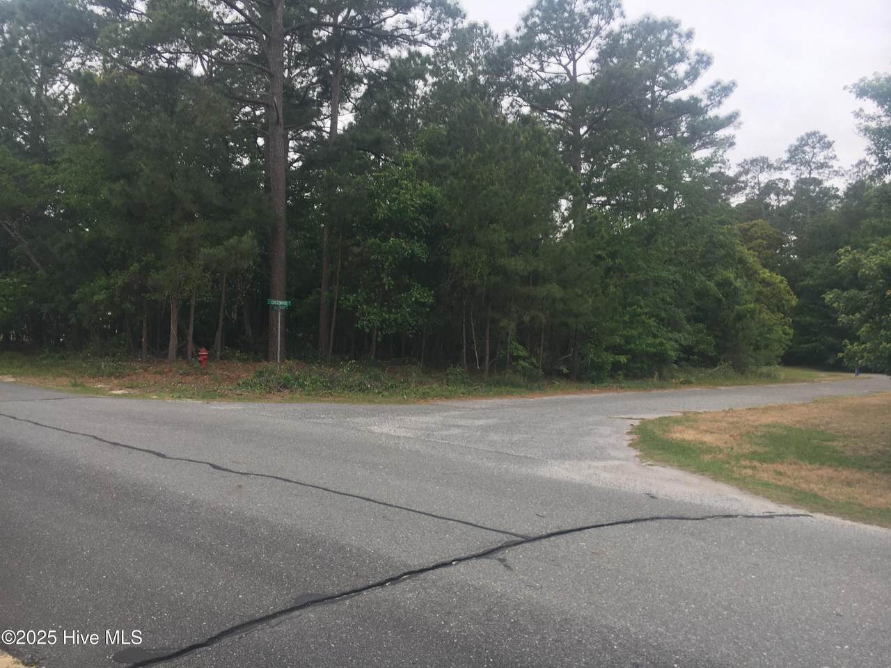 300 Crestwood Drive - Photo 1