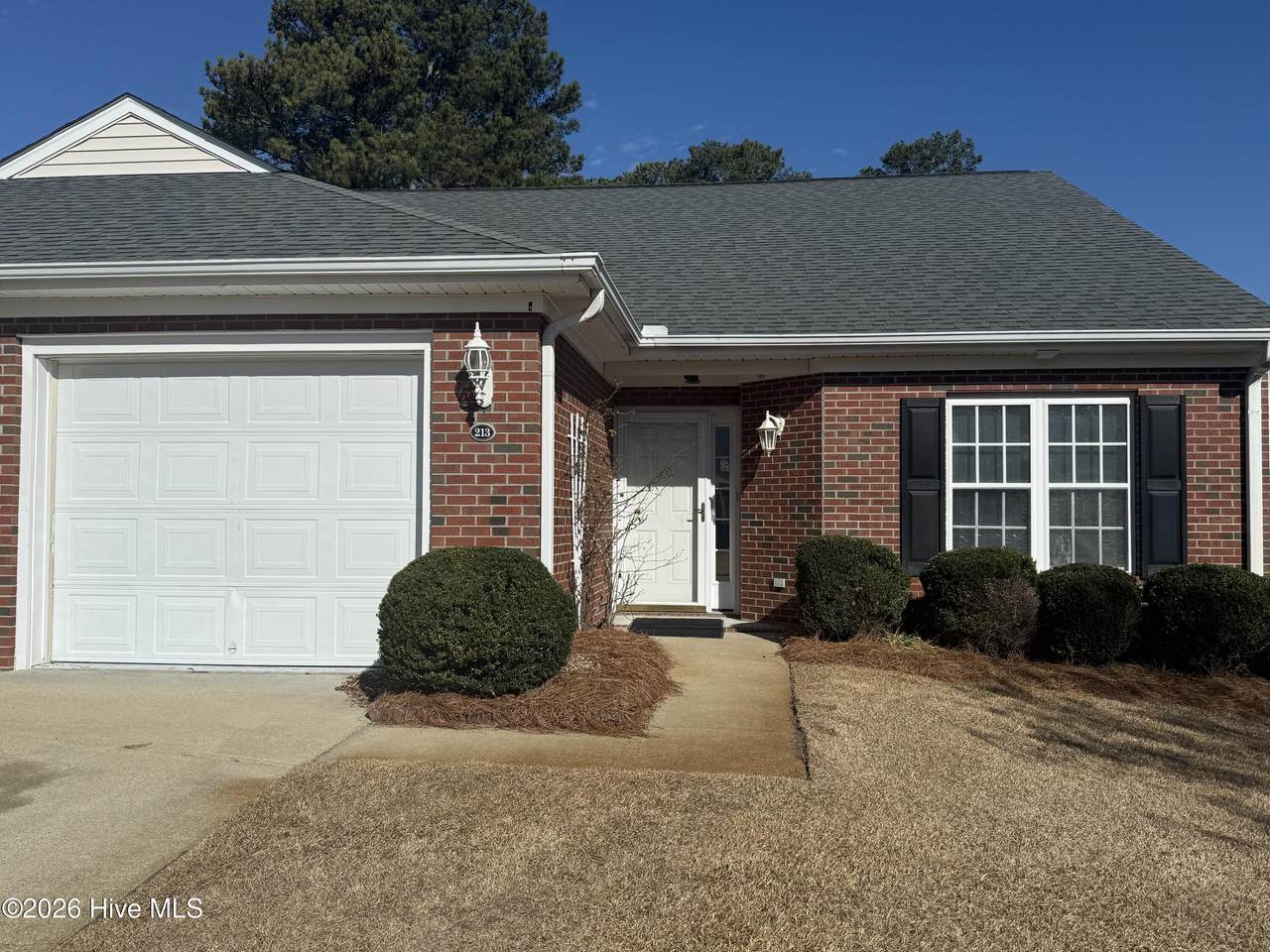 213 New Hope Village Drive - Photo 1