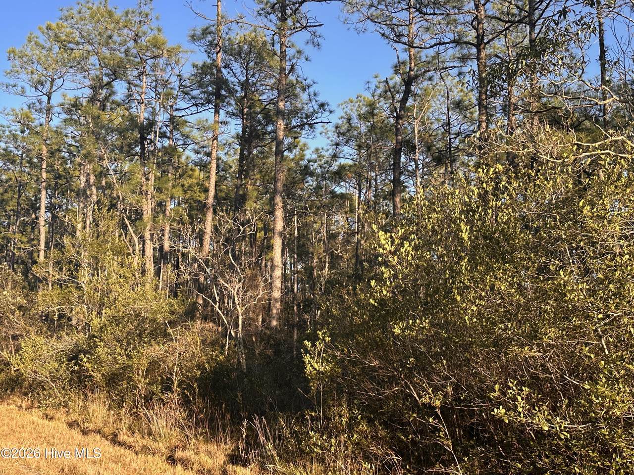 568 Grape Road - Photo 1