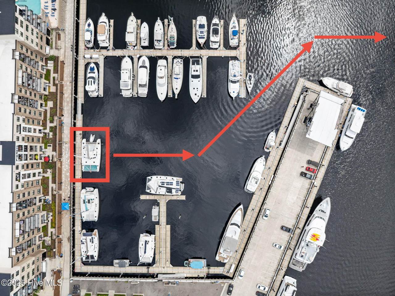 10 Harnett Street - Photo 1