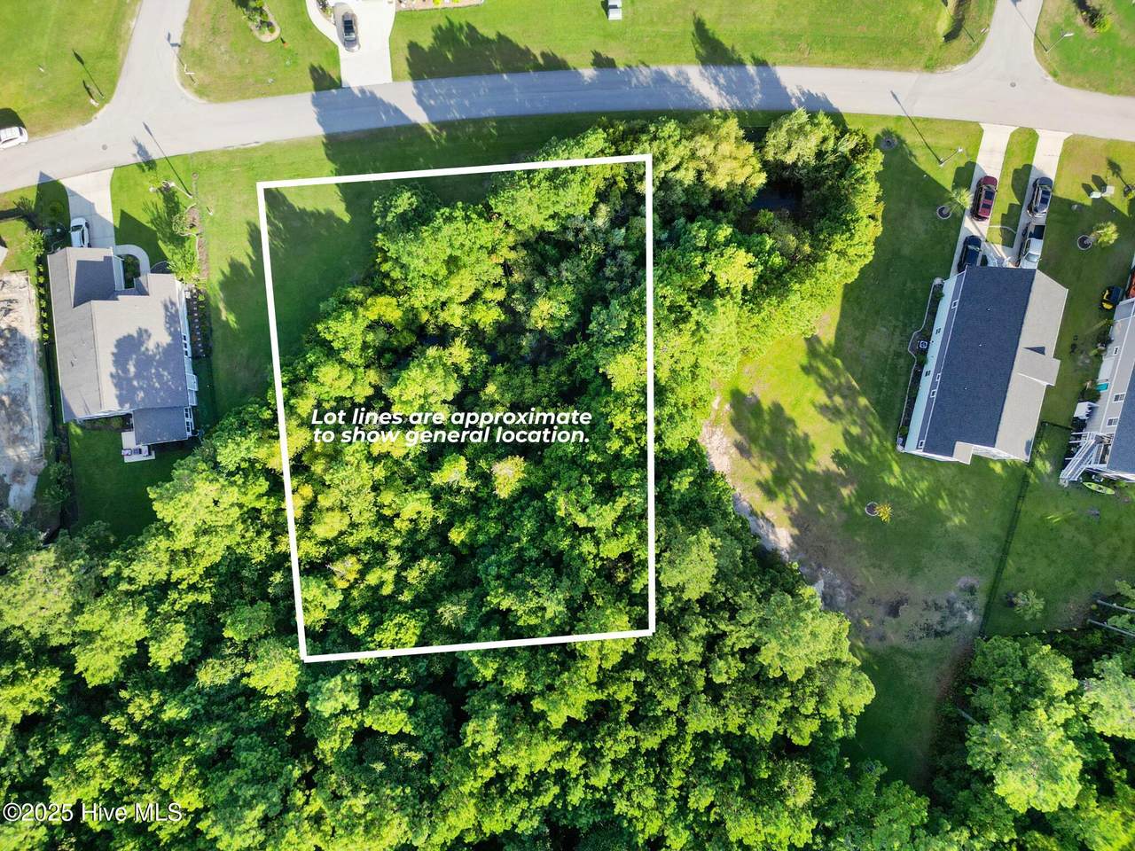 207 Everett Park Trail - Photo 1