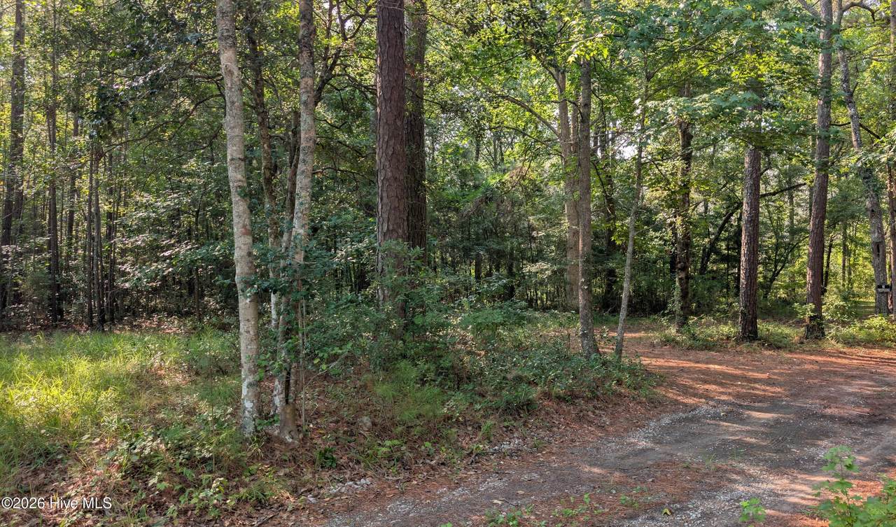 310 Sassafras Lane - Photo 1
