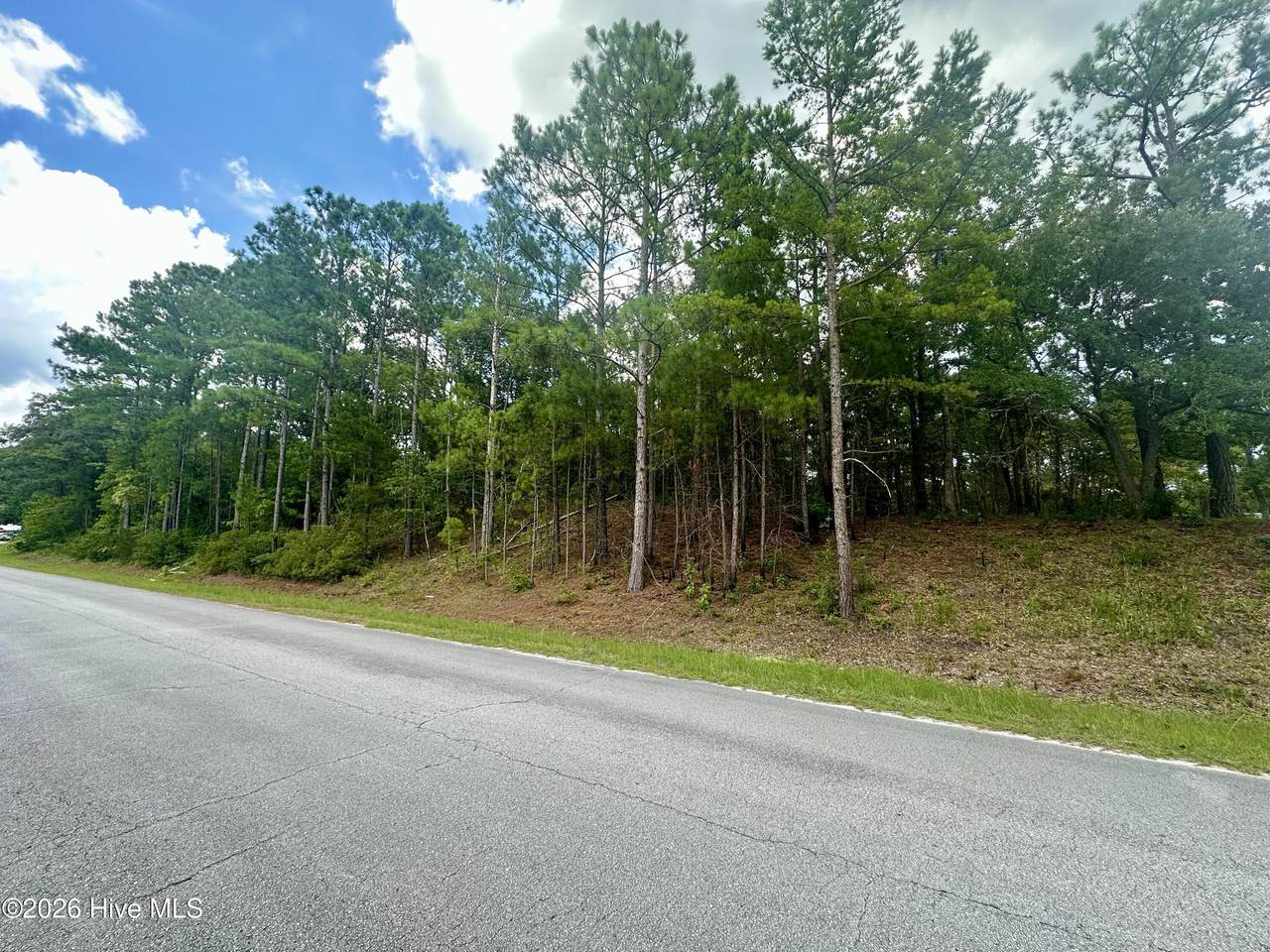 Tbd Wetherington Landing Road - Photo 1