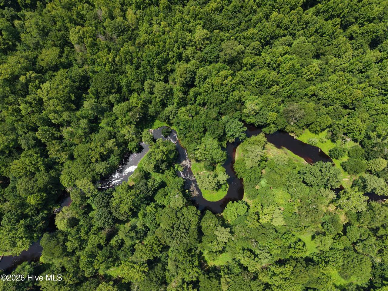 Lot 2 Bass Lake Road - Photo 1