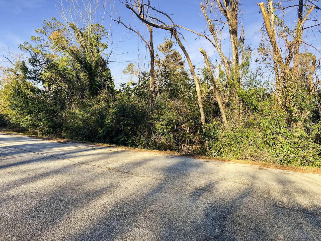 5427 Old Augusta Highway - Photo 1