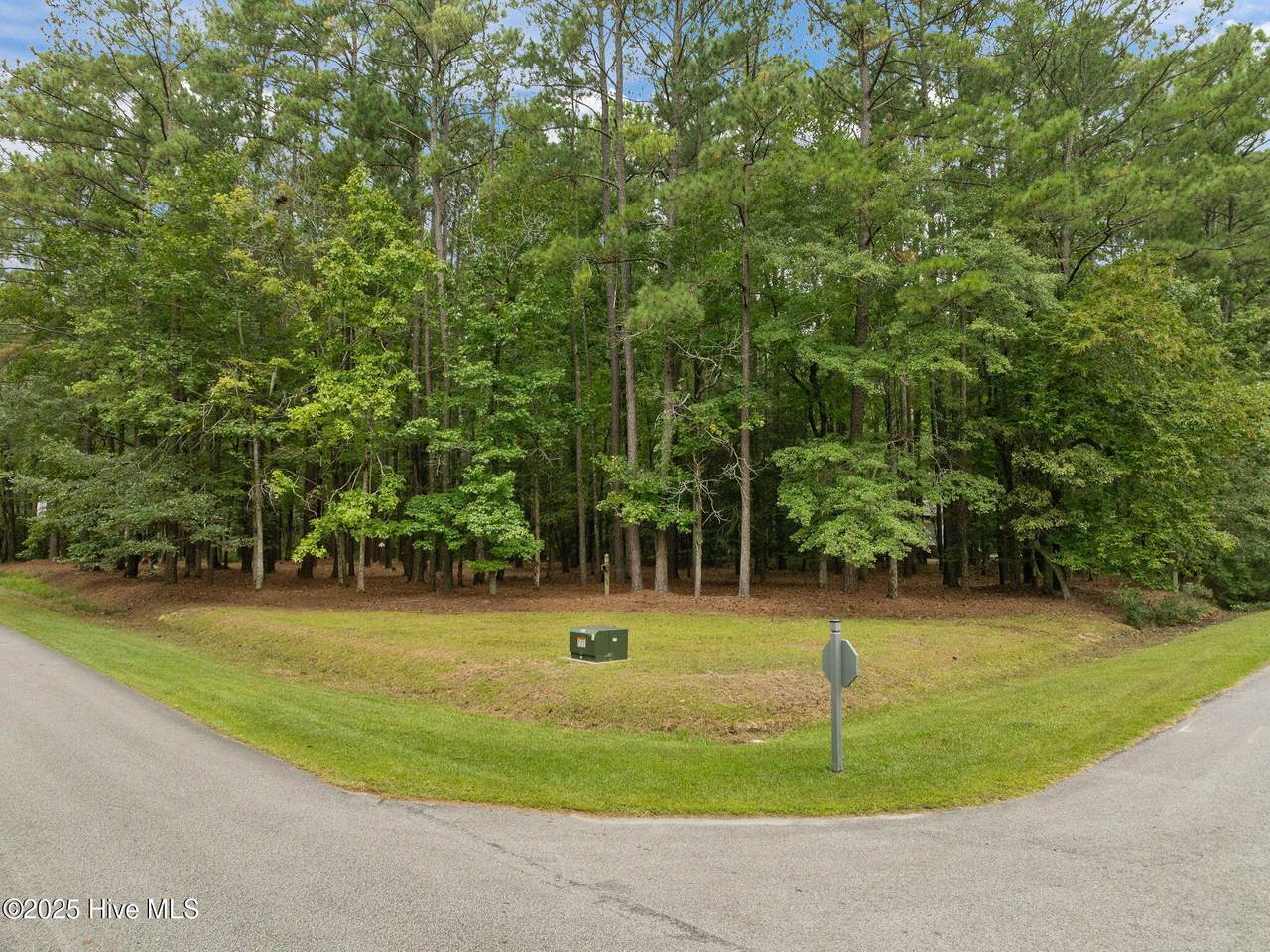 Lot 120 Pamlico River Drive Drive - Photo 1