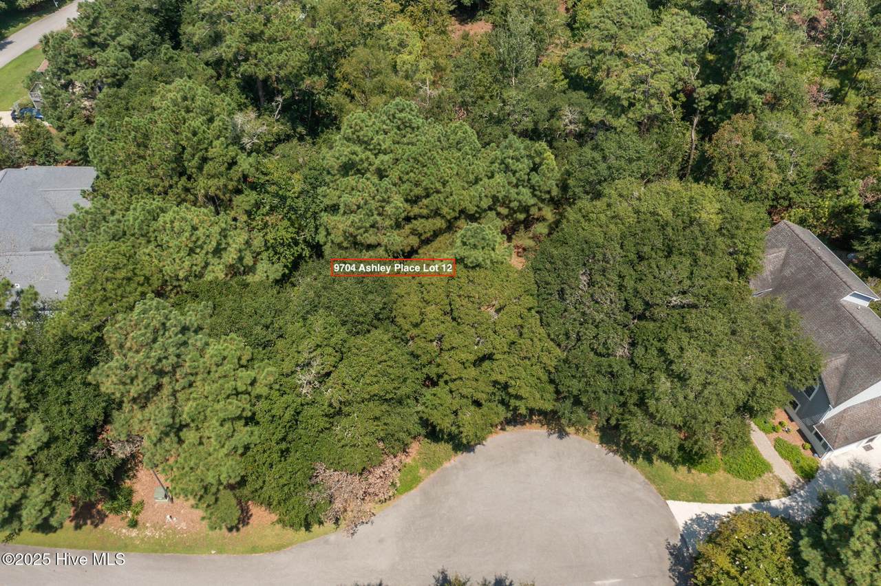 9704 Ashley Place - Photo 1