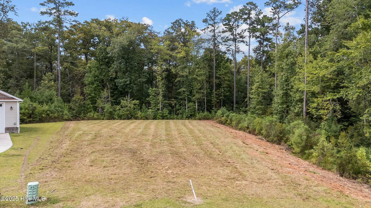 3008 Verdant Ridge Ridge - Photo 1