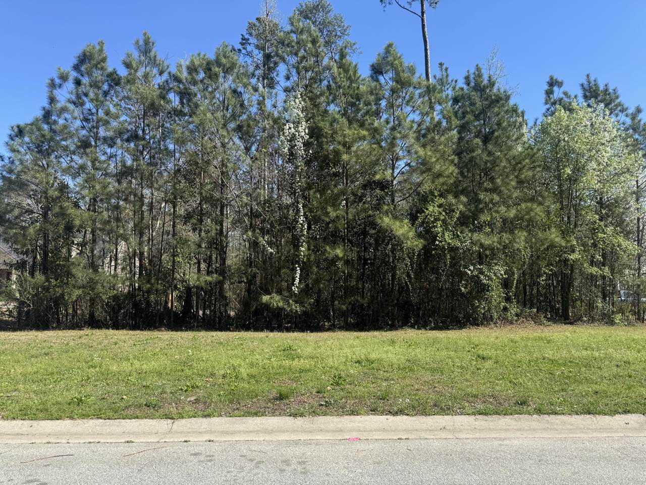 3316 Gwinns Lane - Photo 1