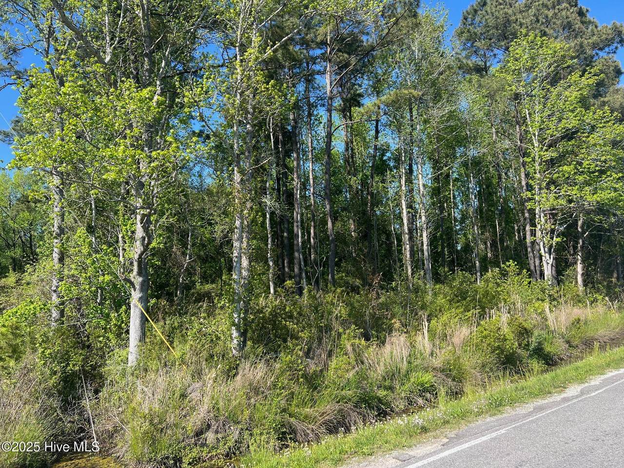 770 Laurel Road - Photo 1