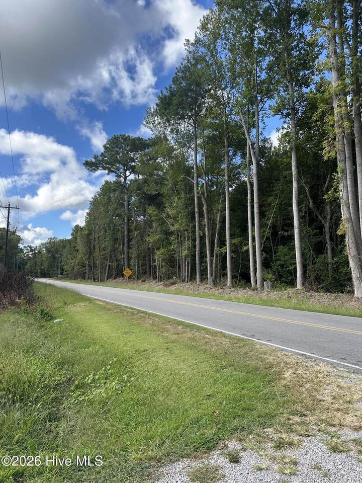 000 Perrys Bridge Road - Photo 1