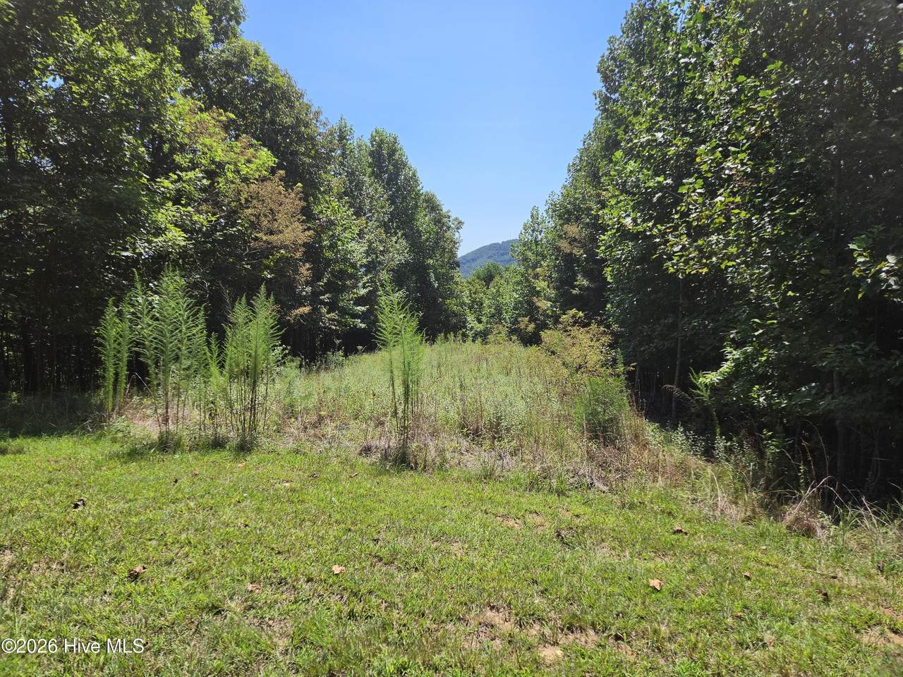 Lot 69 Collins Court - Photo 1
