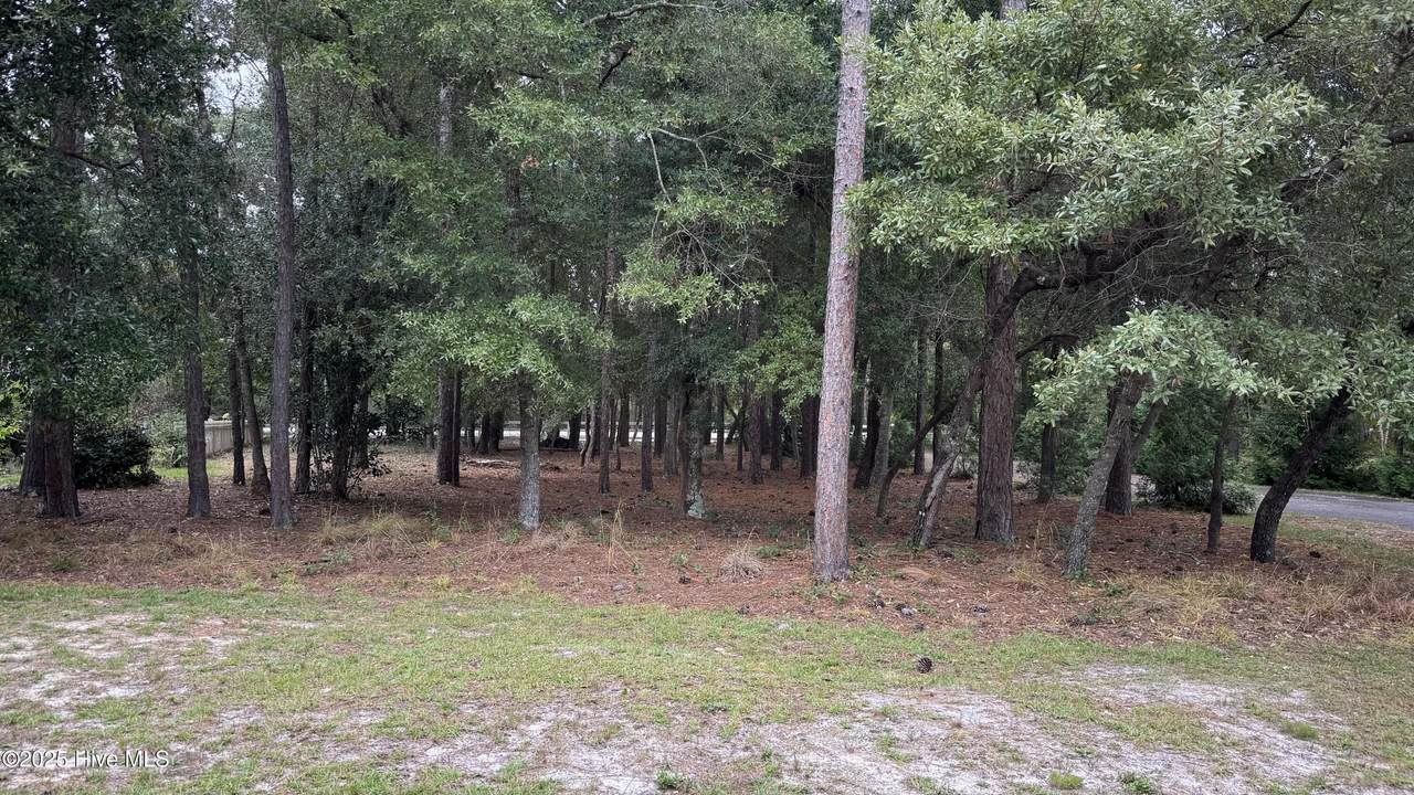 3494 Tarpon Court - Photo 1