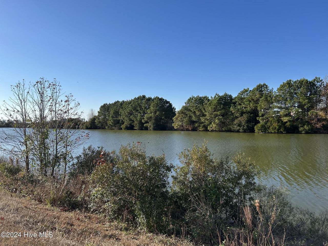 Lot 8 Blue Heron Boulevard - Photo 1