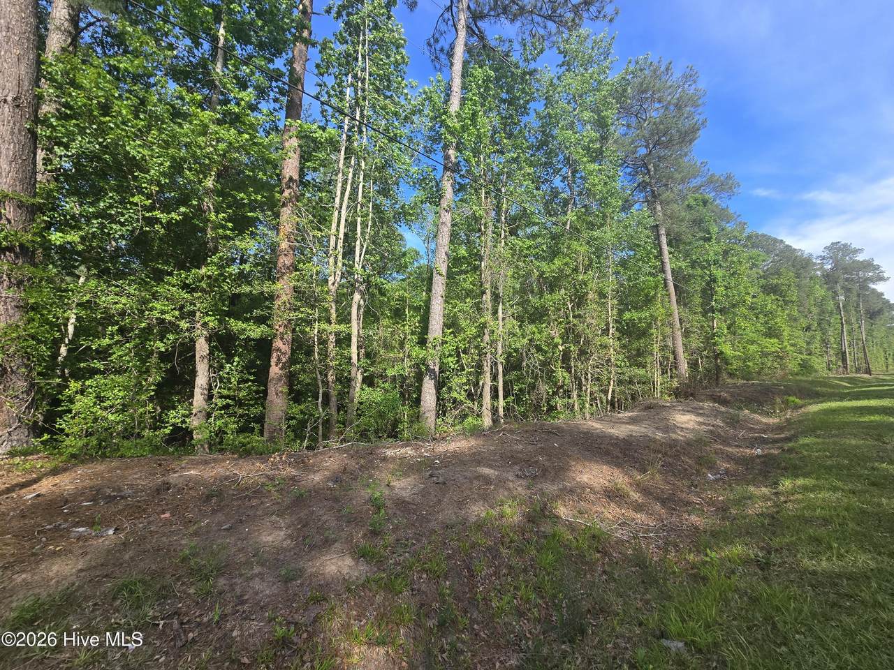 Tbd Cabins Creek Road - Photo 1