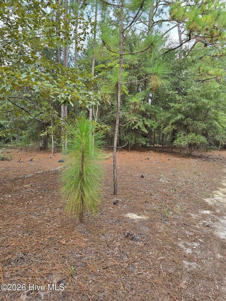 317 R J Johnson Road - Photo 1