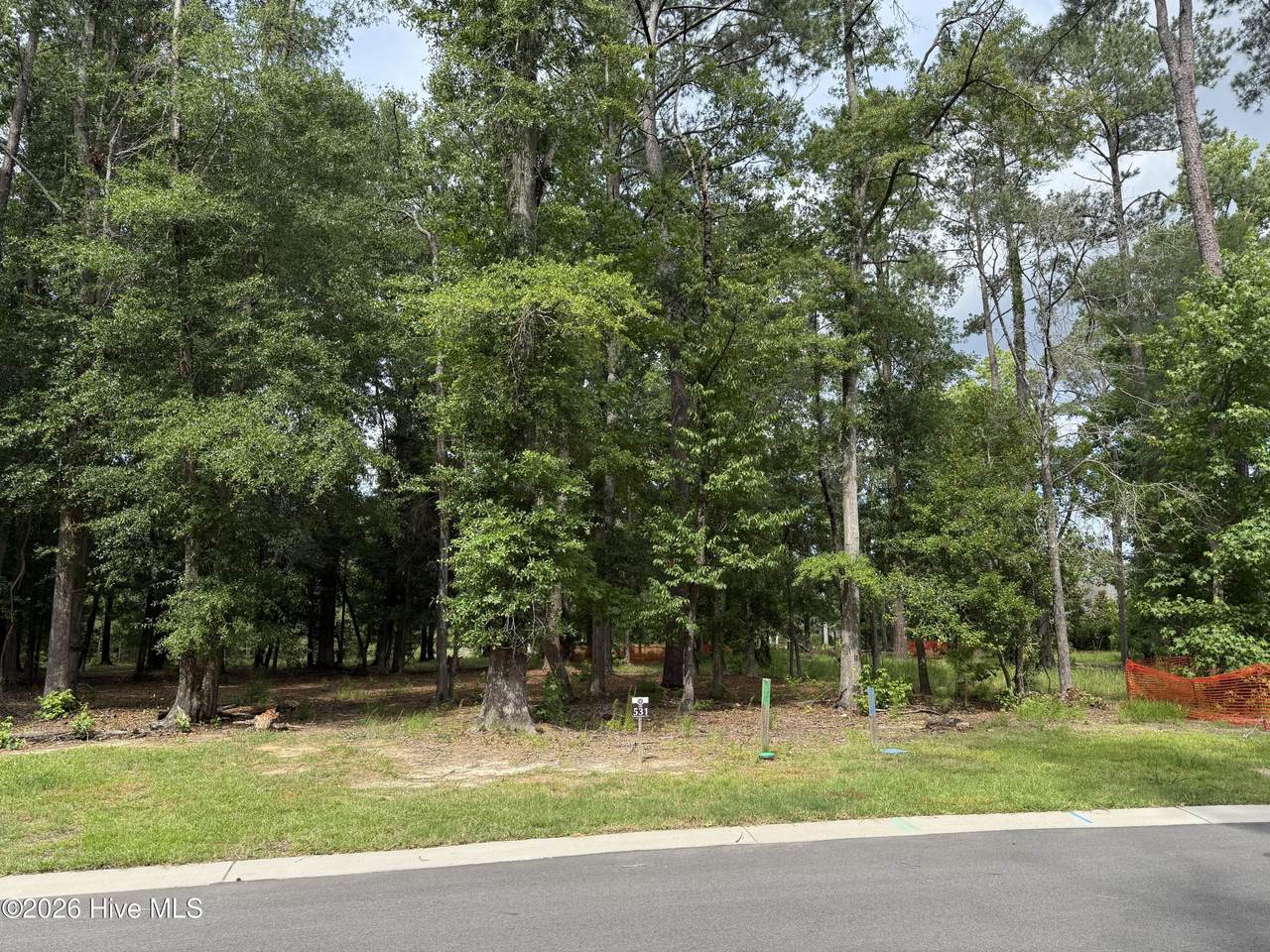 3698 Excelsior Lane - Photo 1