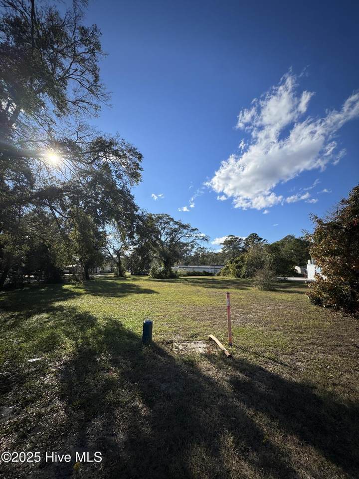 3317 Holden Beach Road - Photo 1