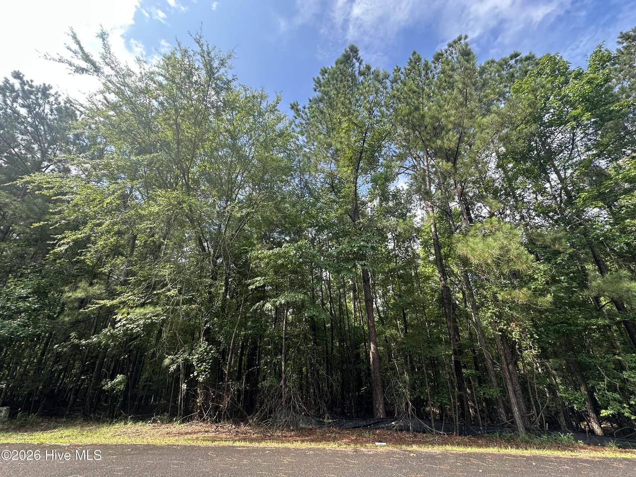 B15 L26 Blair Lane - Photo 1