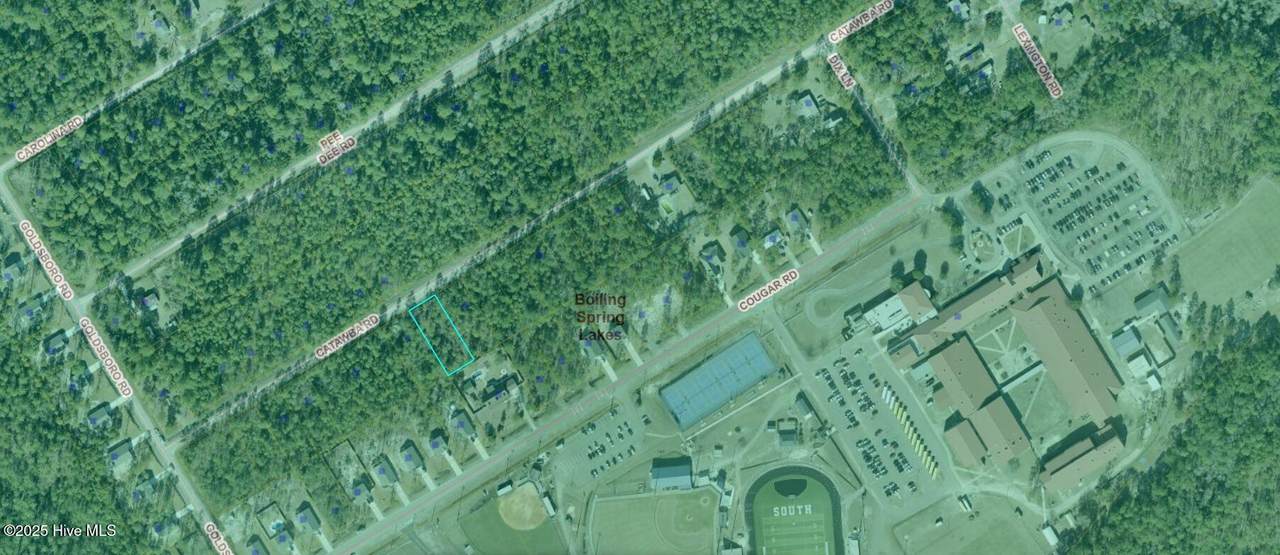 Lot 16 Catawba Road - Photo 1