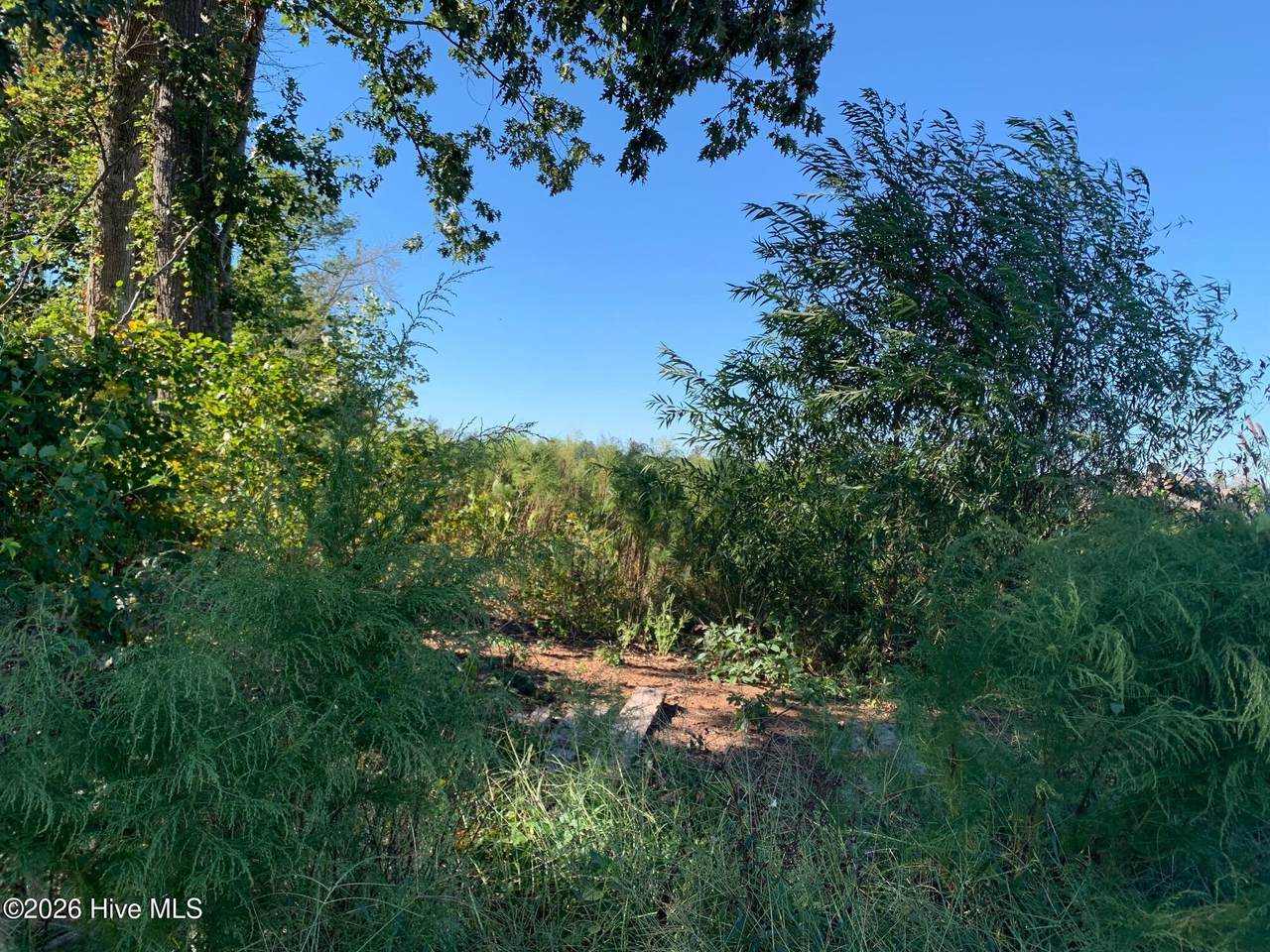 Tbd Hendrix Lane - Photo 1