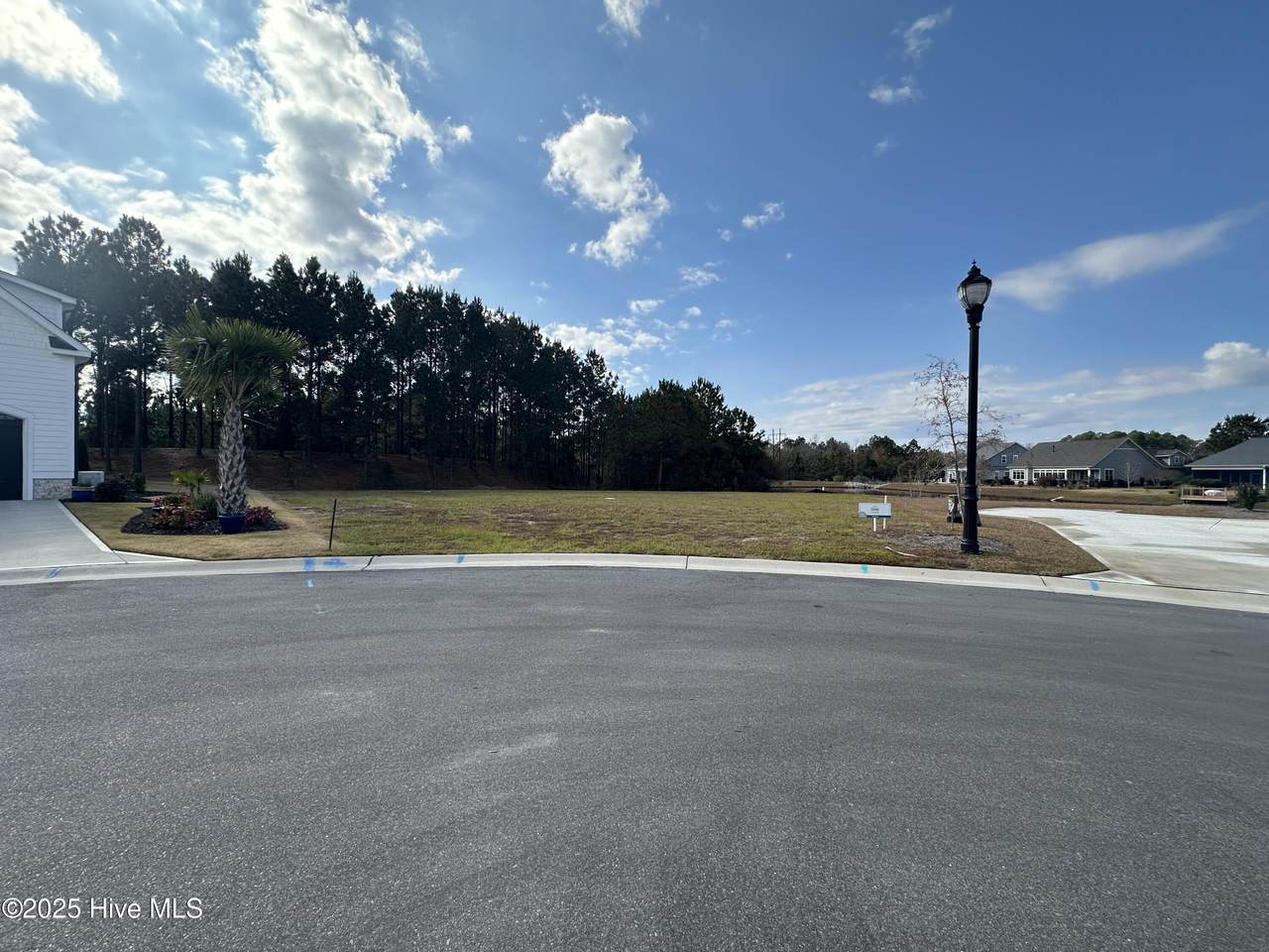 2216 Palm Pointe - Photo 1