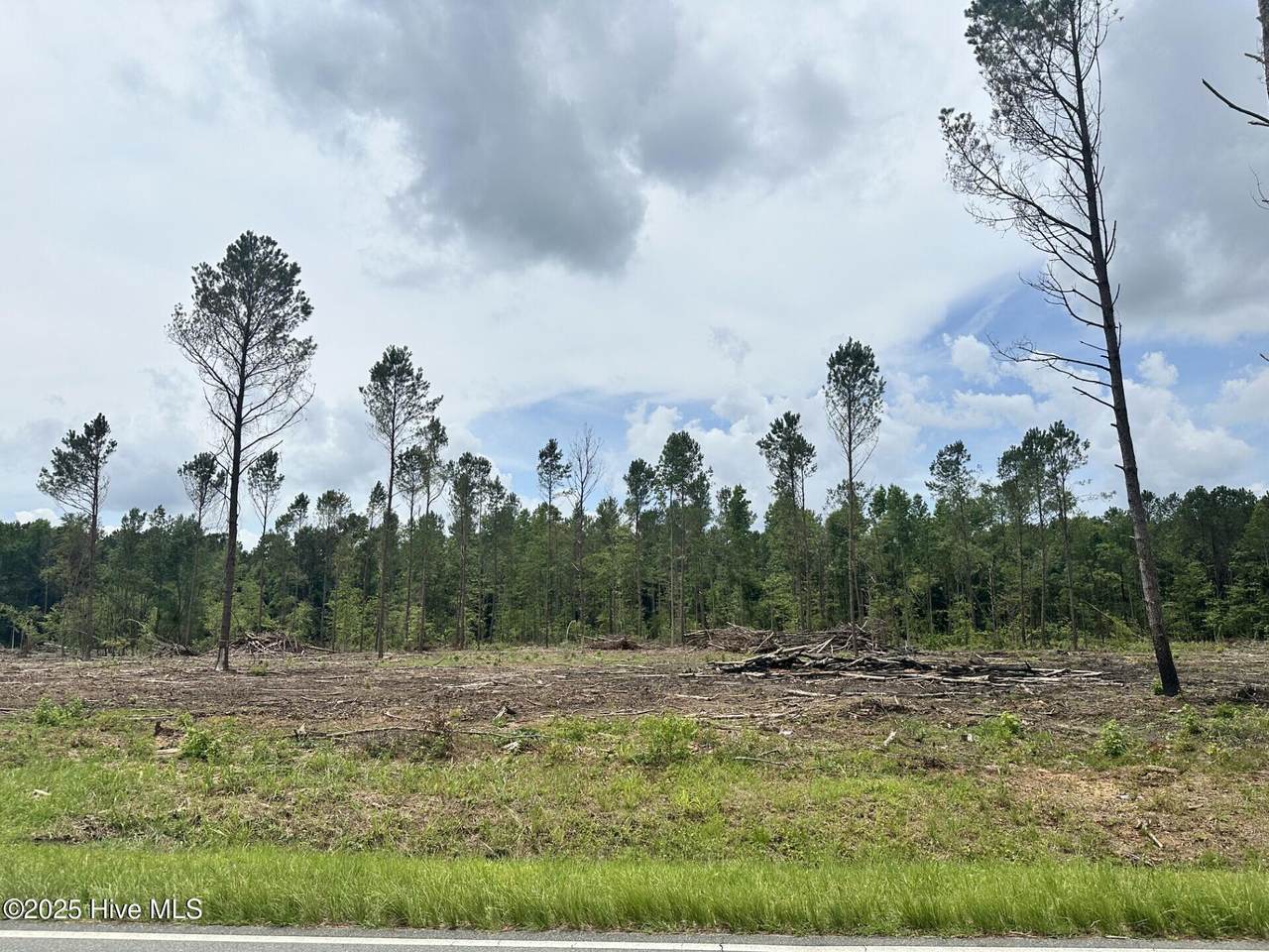 1355 Bill Hooks Road - Photo 1