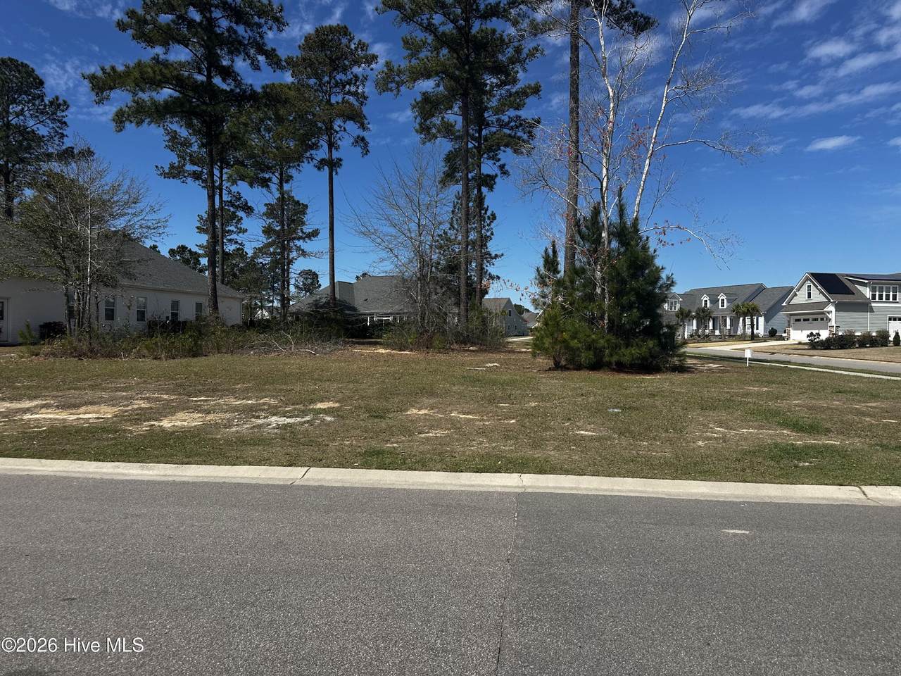 2572 Timber Crest Drive - Photo 1