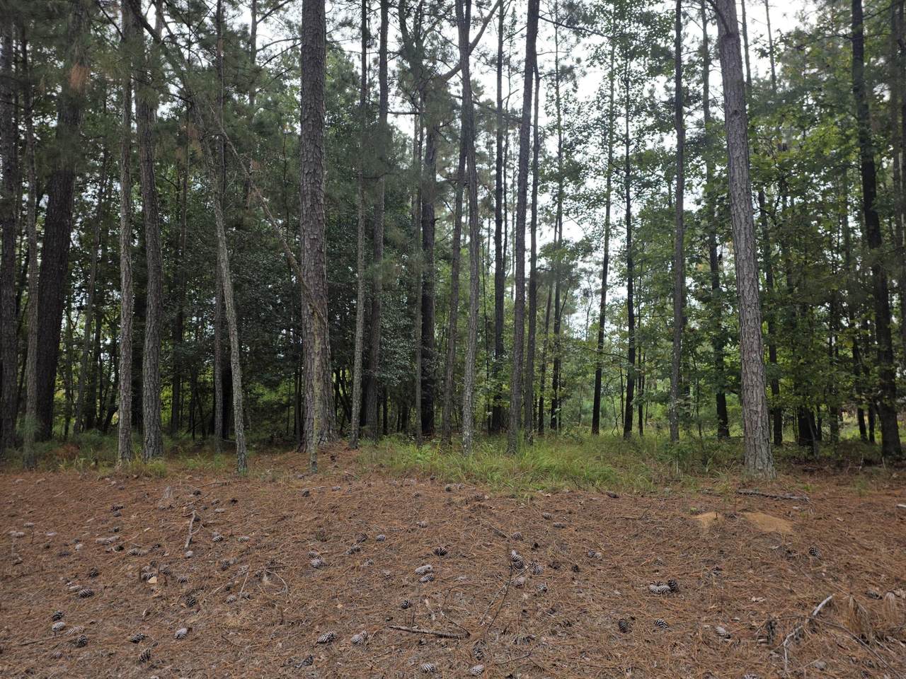 5219 Riverwood Parkway - Photo 1