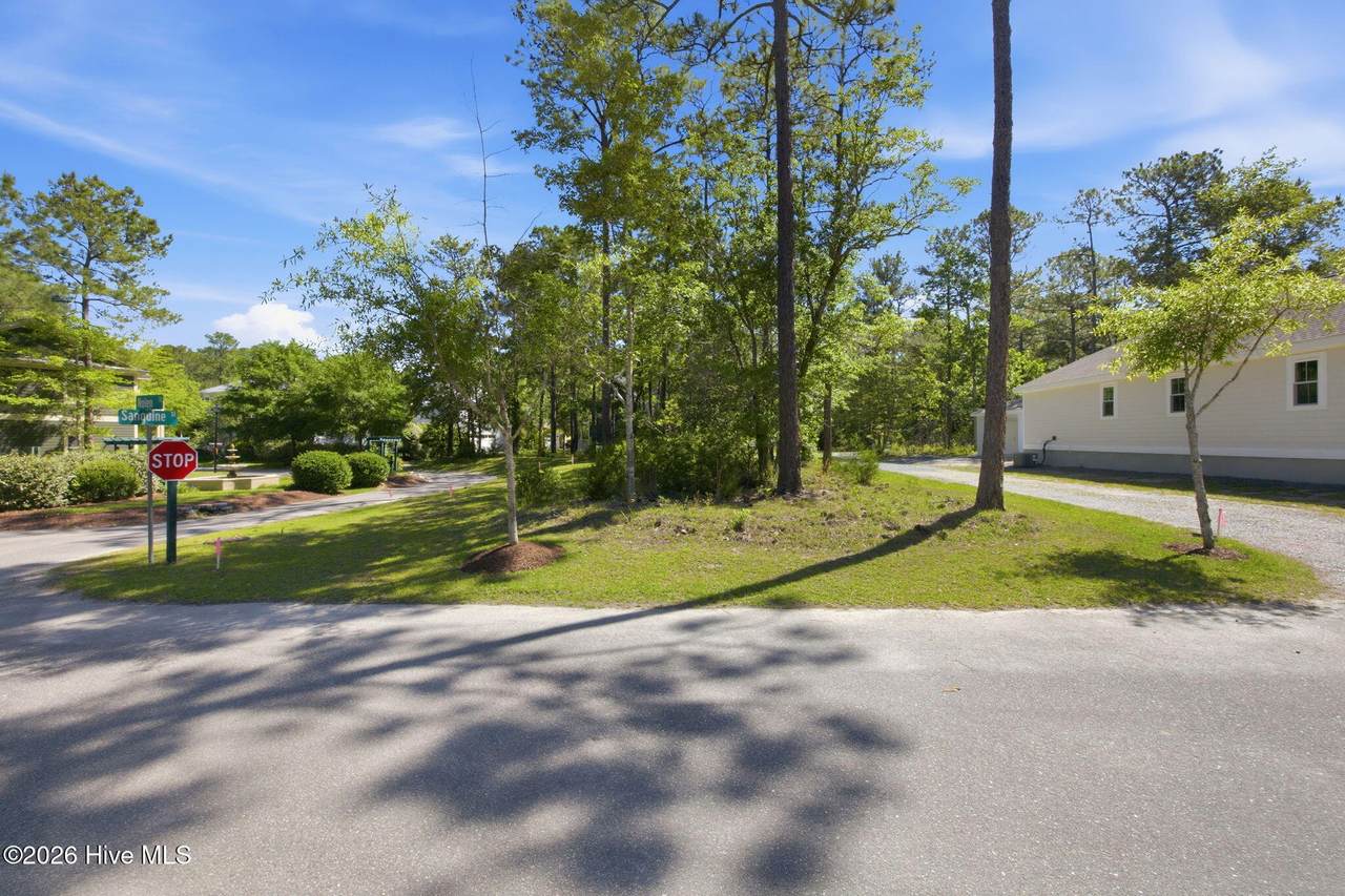 53a, 53b Nolen Street - Photo 1