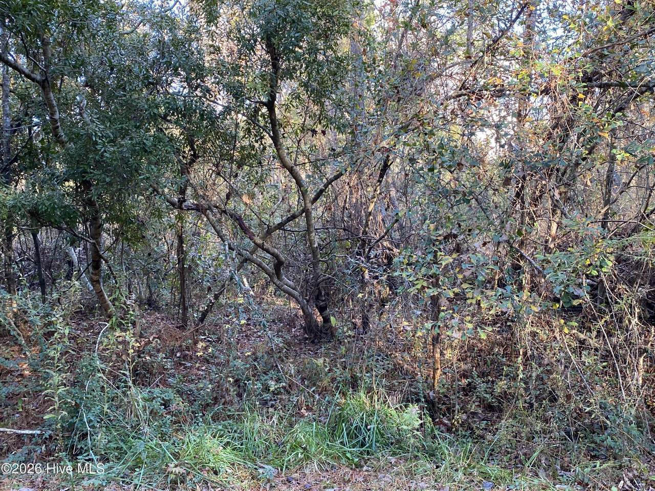 255 Wards Lane - Photo 1