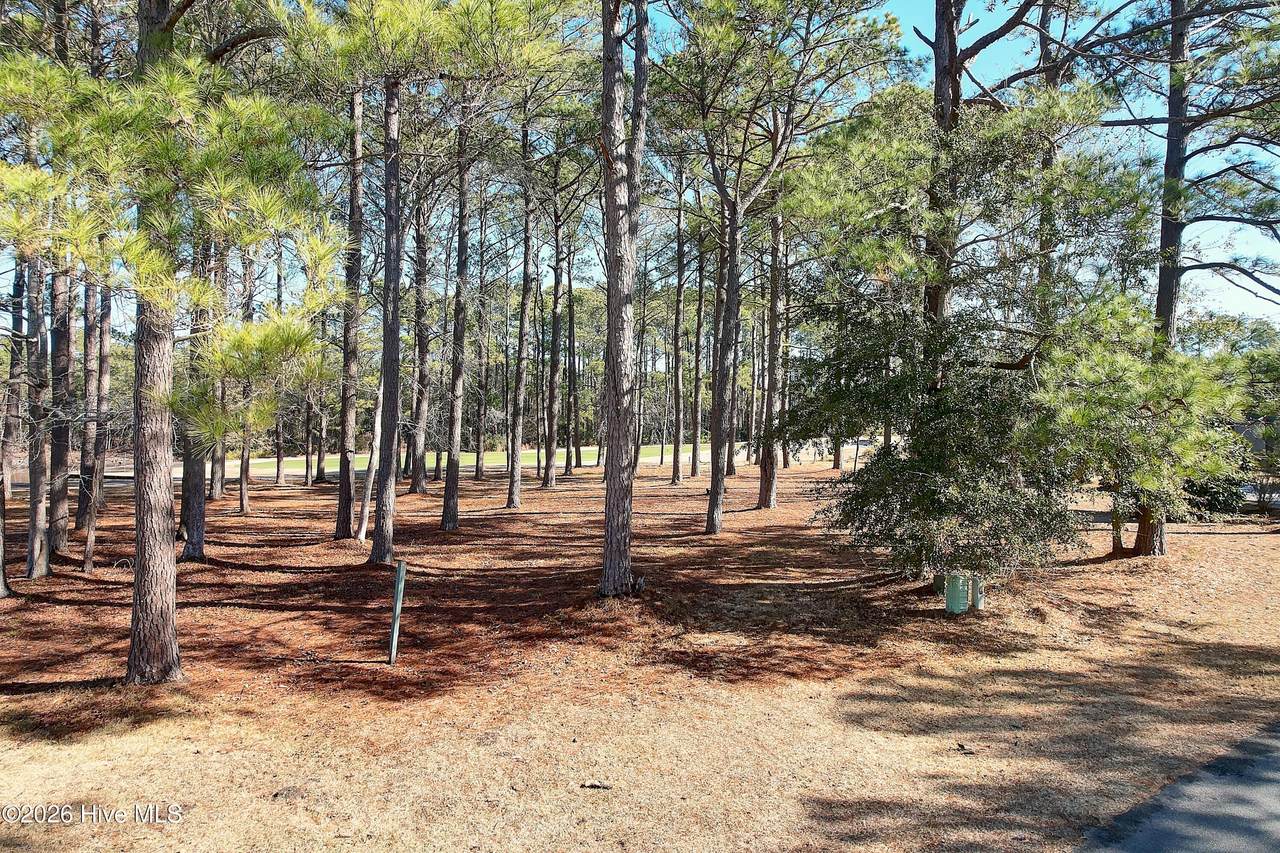 43 Kings Trail - Photo 1