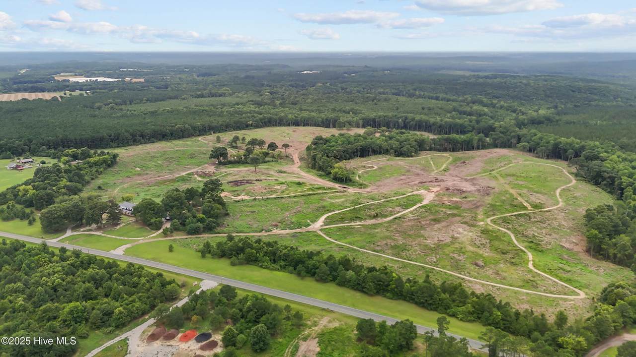 0 Old Cheraw Highway - Photo 1