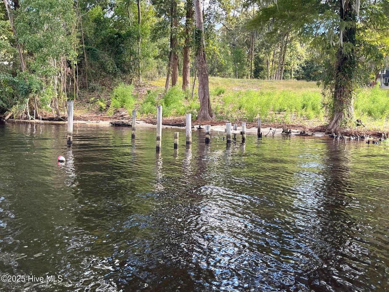 2321-B Chinquapin Road - Photo 1