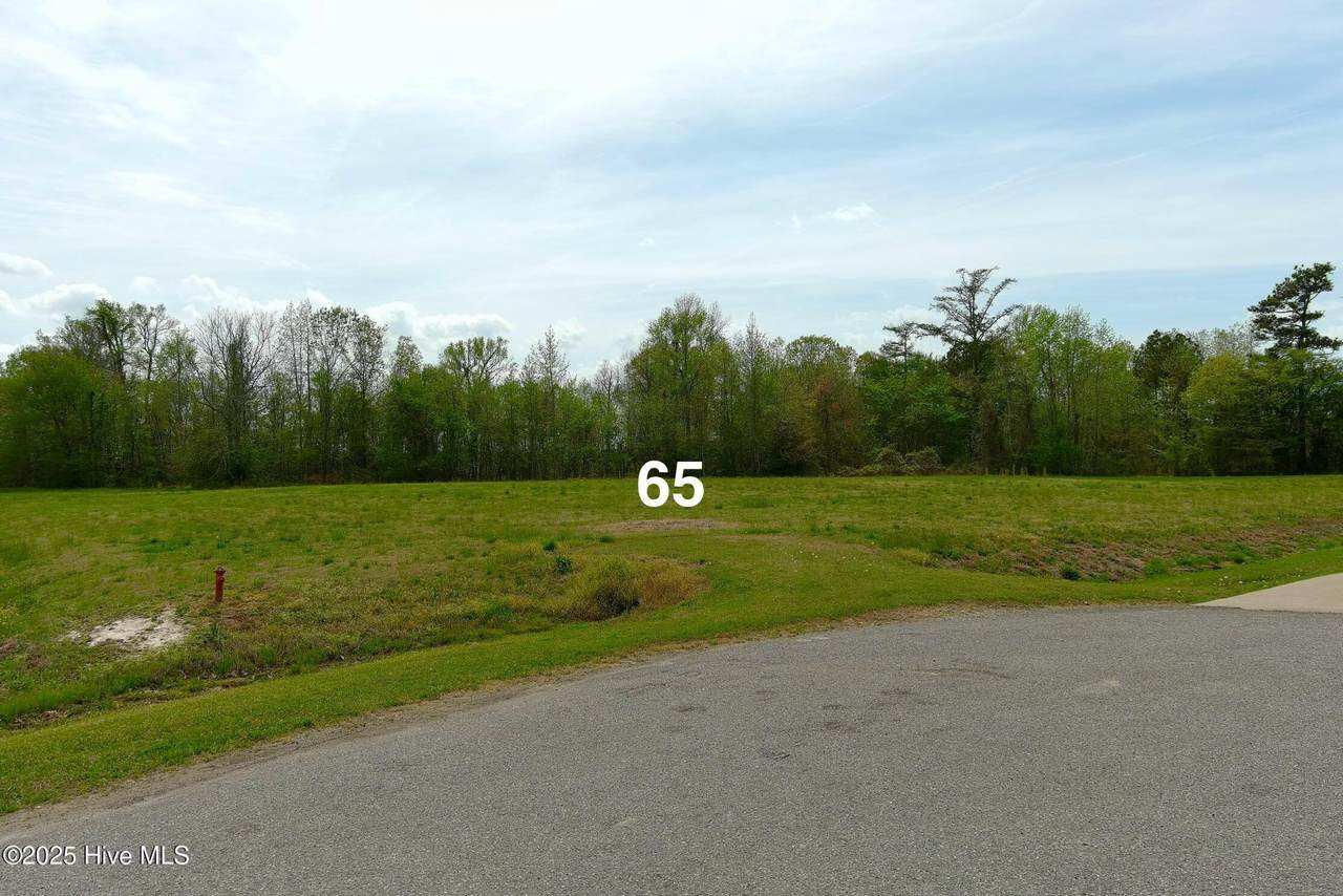 Lot 65 Pelican Court - Photo 1