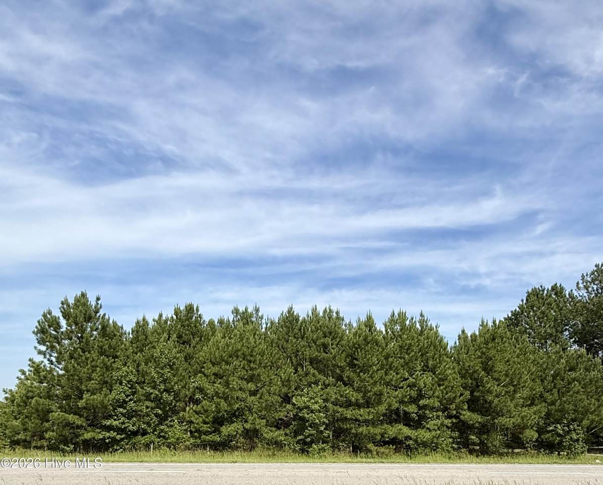 Lot 3 Us 17 - Photo 1